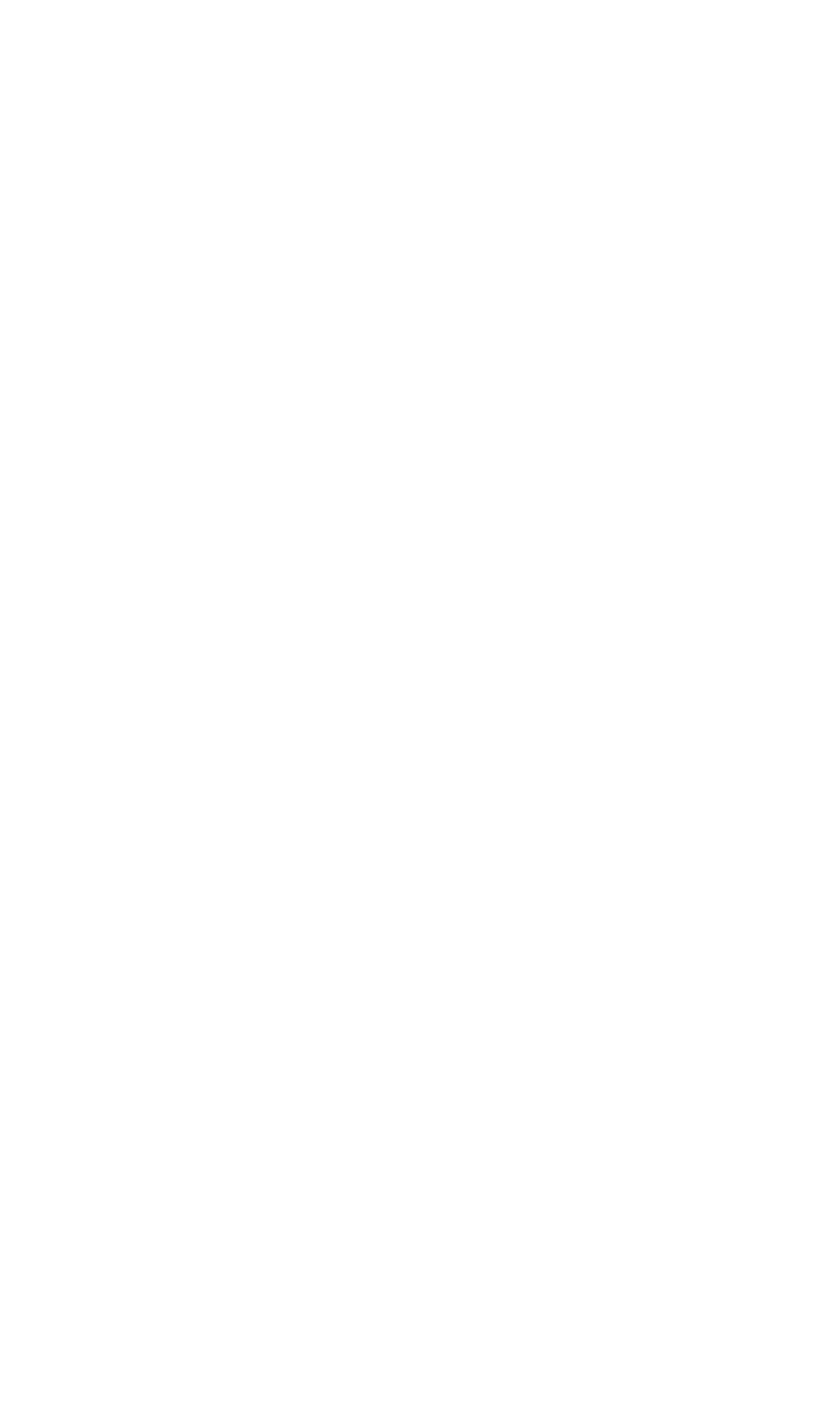 Versione logo bianca Allit Spa